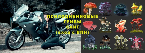 кокаин Алексеевка