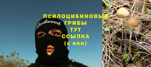 кокаин Алексеевка