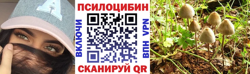 Галлюциногенные грибы Magic Shrooms  KRAKEN как зайти  Наволоки 